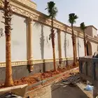 نخل واشنطني