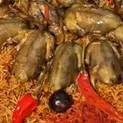 حمام للأكل السوم للجوز جمله وصل 24 واللي يبي يفرد يسوم