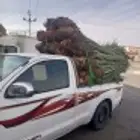 السلام عليكم ورحمه الله وبركاته زبائننا الكرام عندنا نخل طيب