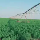 انا اعمل في مجال الرشاشات وعندي خبره في تشغيل المكائن