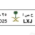 لوحة 2025