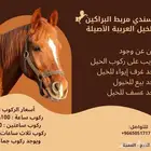 اسطبل خيل