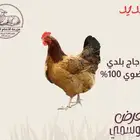 الحرازات