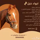 ايواء وتصوير خيول