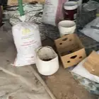 حشف تمر للبيع طيب على الشرط كيس طجين