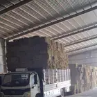 دينا دينه 7متر