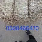 قديم دورا شاميا مه خولط شد 90