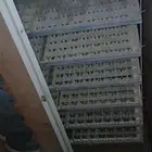 فقاسه تشيل 1050بيصه