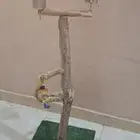 ستاند