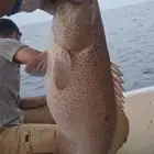 طلعات صيد بحر جدة