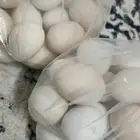 بيض دجاج تركي وبلدي هجين