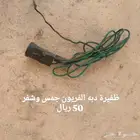 قطع متنوعه جمس وشفر قديم