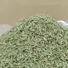 كمون بلدي للبيع بريدة