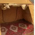 خيمة مبيت جديد الحد 600