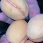 لوز