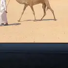 هجن