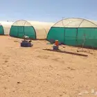 Green House بيت محمي