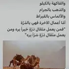 جوز بومة القلب الي يقدر يصيده