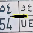 لوحه مميزه للبيع