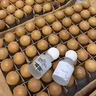 عطور تولات ثيمات طباعه حسب الطلب