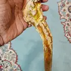 عصا عكاز عصي