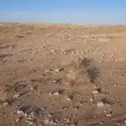 للبيع ارض زراعيه في عنيزه في الملز الشرقي