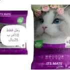 اكل. فشر. كناري. طيور حب.