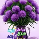 معلم تأسيس ومتابعة خبرة 20 عام