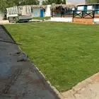 ثيل طبيعي سي الفين درجه اولي صافي من اي شي للملاعب الحدايق