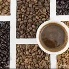 نورد قهوة مختصة بالجملة للكافيهات   بن أخضر بالجملة