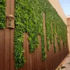 تنسيق حدائق