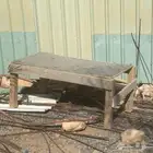 طوله من خشب