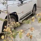 لاندكروزر 2022 رقم 4