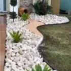 مشاتل جميع النبتات