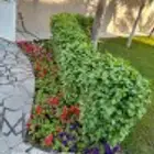 مزارع ومنسق حدائق