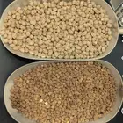 يتوفر لدينا حمص اسود  و حمص ابيض