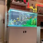 تقسيط تابي تفصيل احواض سمك وزواحف