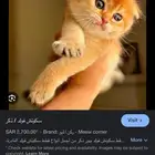 ابي سكوتش التبني لعمر 9شهور الله. يسعدكم الي عنده