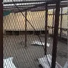 شبك بقلاوه