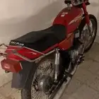 دباب