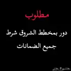 دور بشروق