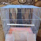 قفص - اقفاص - طيور زينة