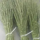 مرخ طازج الحنيذ والمندي يقطف يوم طلبك