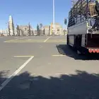دينا