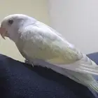 روز اليف جدا جدا جدا
