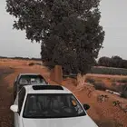 افالون 2011