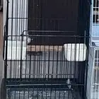 أقفاص طيور