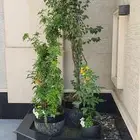 تنسيق حدائق الرياض