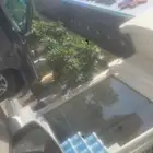 دهان بريده 2025