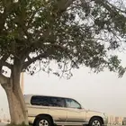 لاندكروزر 2005 GXR قير عادي